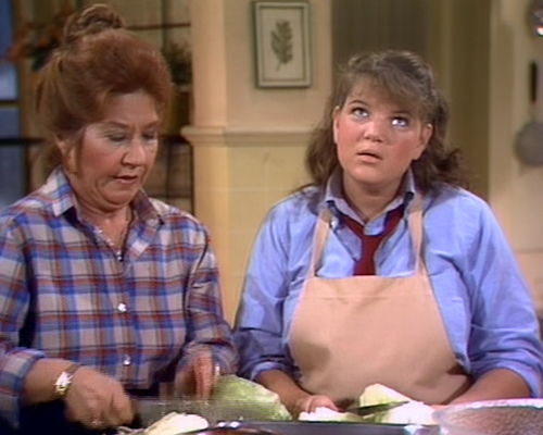 Recaps of The Facts of Life - Television of Yore